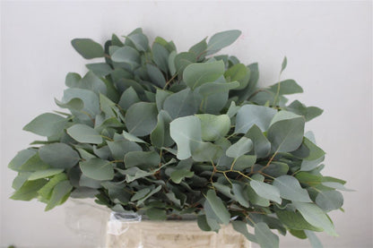 FeedSync:wholesale:6dc420df9919e7c7facec9ddde1d4f555e8db13a