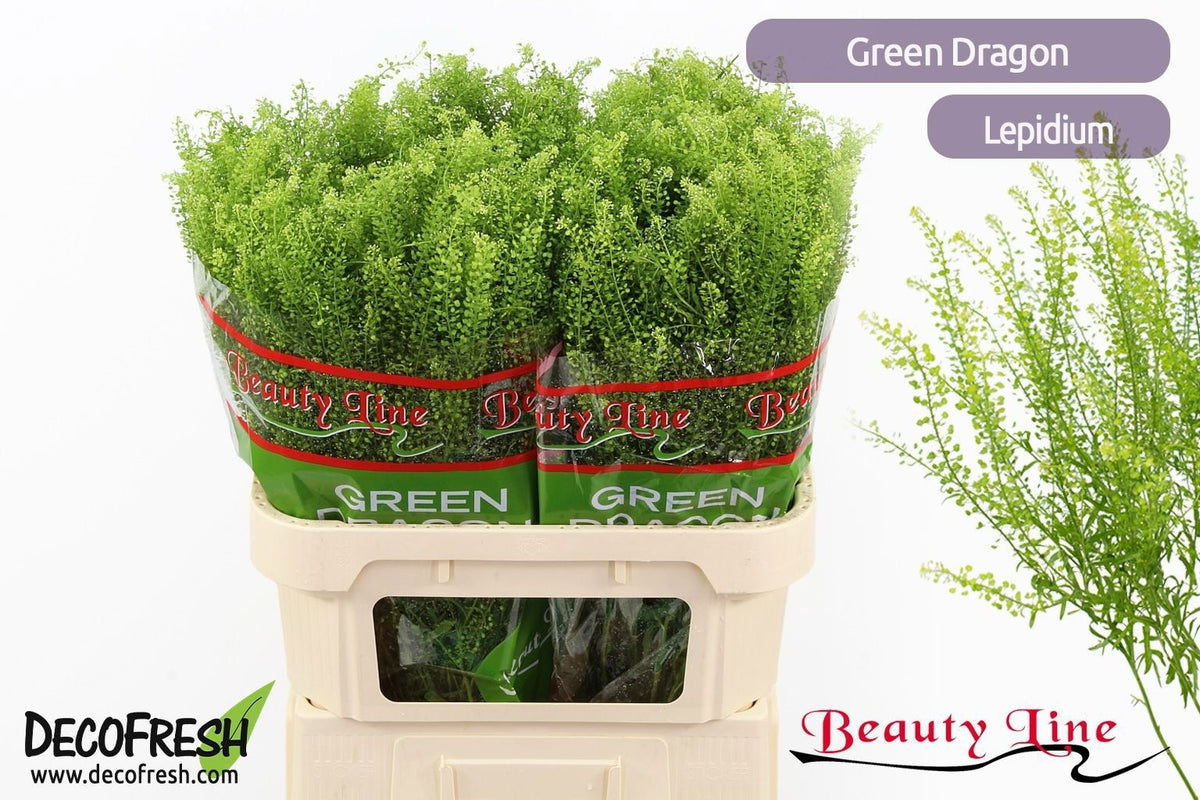 FeedSync:wholesale:3d3c21b08bbc378cb4581314cdb09b76b4a8b765