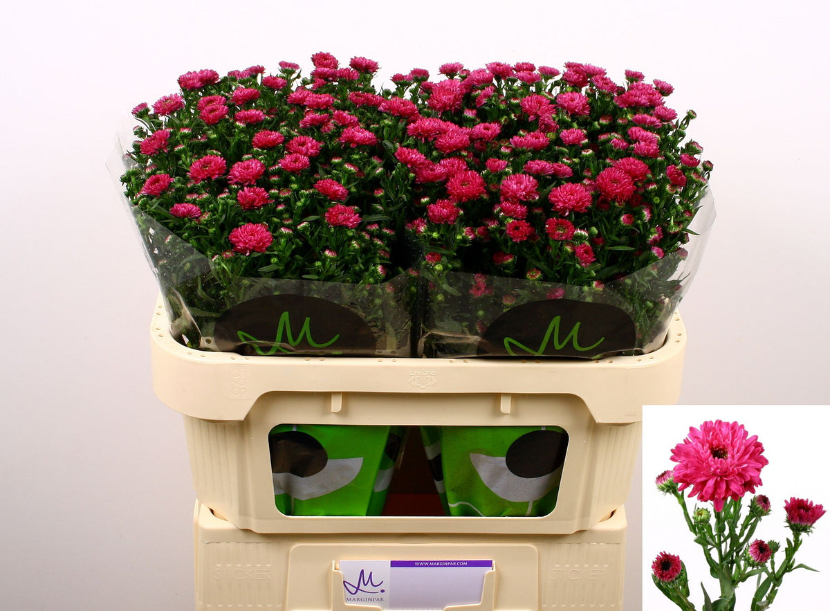 FeedSync:wholesale:a80e4ec1e8d1c0d2cadfd02e2f9088bc9d193ce4