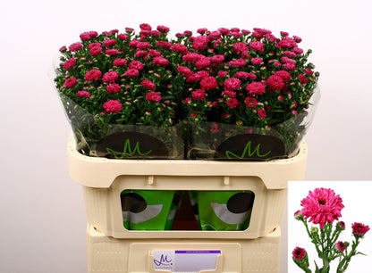 FeedSync:wholesale:a80e4ec1e8d1c0d2cadfd02e2f9088bc9d193ce4