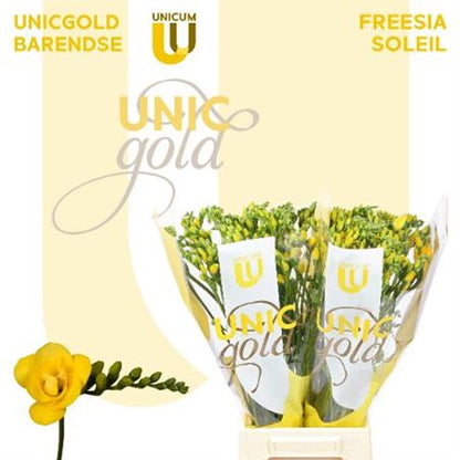 FeedSync:wholesale:b74dacaa6f80677dec58f35d32bb0b35123de92a