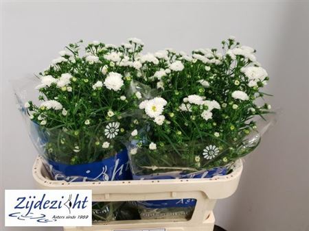 FeedSync:wholesale:88327594642c093dce975e6a52cdac1fb18db41a