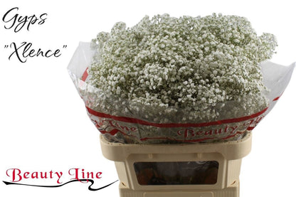 FeedSync:wholesale:df672496c5fb7bd84a42abf60763f3cf94327aa4