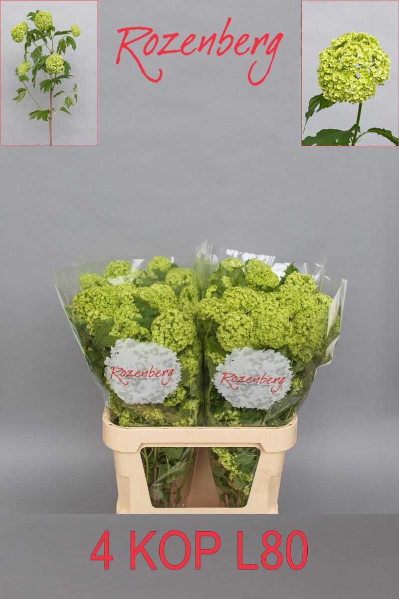 FeedSync:wholesale:fe8ef15a0c892e87c8bc7241f94bab9b5b23cf0e
