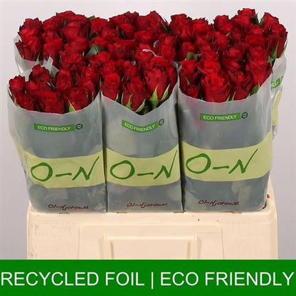 FeedSync:wholesale:65c655a8356aac67f6f3e1ddd0d205c9ec7a1523