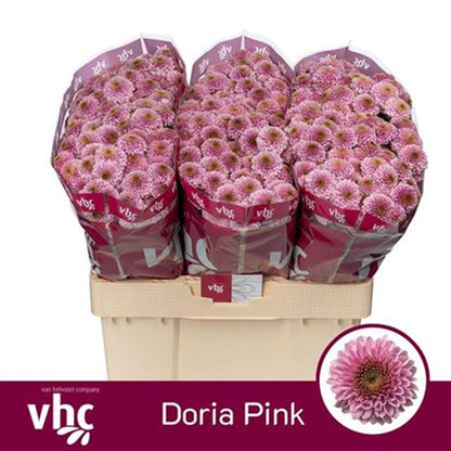 FeedSync:wholesale:167129aa10a0076c435d91612cb998b8f4820ee0