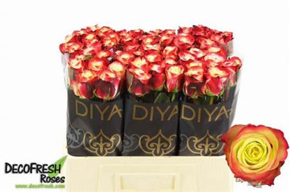 FeedSync:wholesale:adcb2f4674cf34f1dcea6439f837f8ef17ee952b