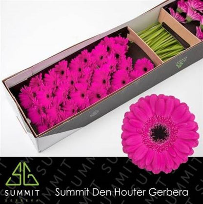 FeedSync:wholesale:446840d106d3eca5ff4f5d761649bcdef0224a26