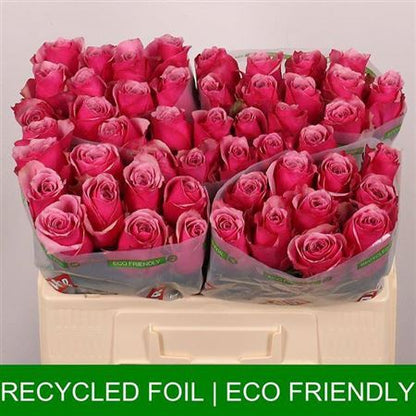 FeedSync:wholesale:81a8e1aa4b33bf5b7819641ac88b4b5fa4937d62