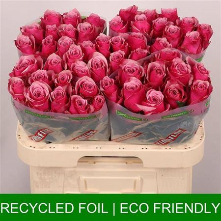 FeedSync:wholesale:5c7d760e7b115321d37364531028d28c8d5fa138