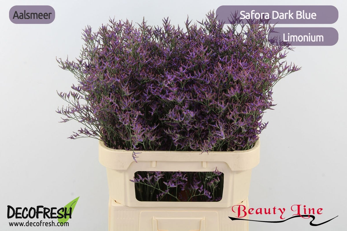FeedSync:wholesale:4dcdb818534523158a4e9dec1560e15926133adf