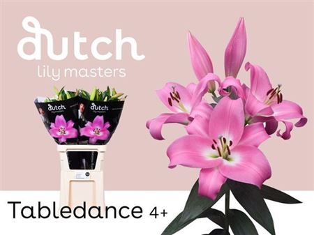 FeedSync:wholesale:f023168747bb290e45e325e946d7d5b0a45ae04c