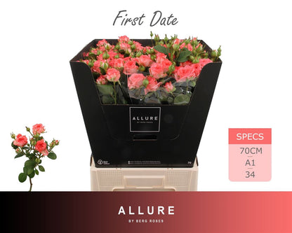 FeedSync:wholesale:57e8c237a3dd3e083d559fbbe2189587c206c47a