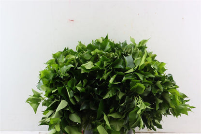 FeedSync:wholesale:4fa0dab9c76857dd0f8855627481771dd5894876