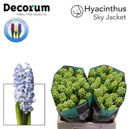 FeedSync:wholesale:bfa9a5176b4b7e6bf0306f38611b2f4a9272994a