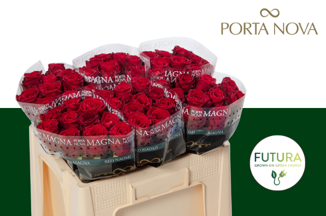 FeedSync:wholesale:1332529d6d86893e597cefe8558dbd311966f1f5