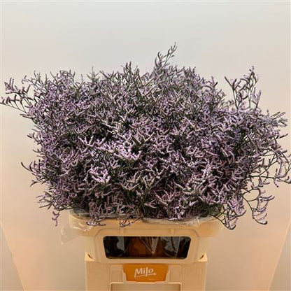 FeedSync:wholesale:ec2a4432856d1f0a627b6b50cb591fc20c180442