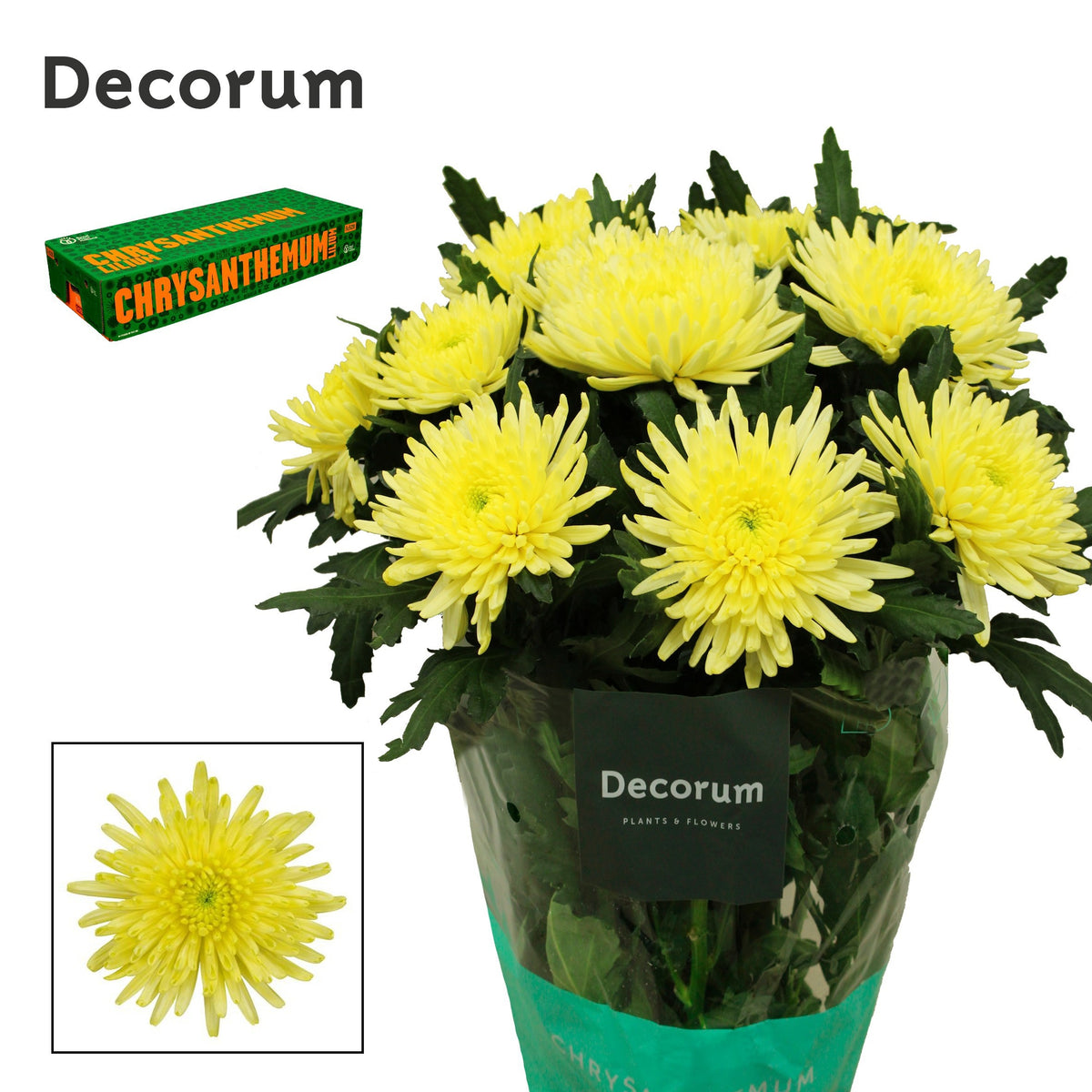 FeedSync:wholesale:108fac6ed3d45a409195572cb0c5fd281c89d96a