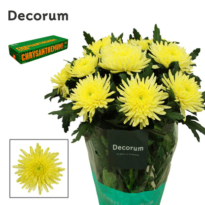 FeedSync:wholesale:108fac6ed3d45a409195572cb0c5fd281c89d96a