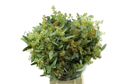 FeedSync:wholesale:e934c698f664319a4dfd401ef90ec42078a0f069