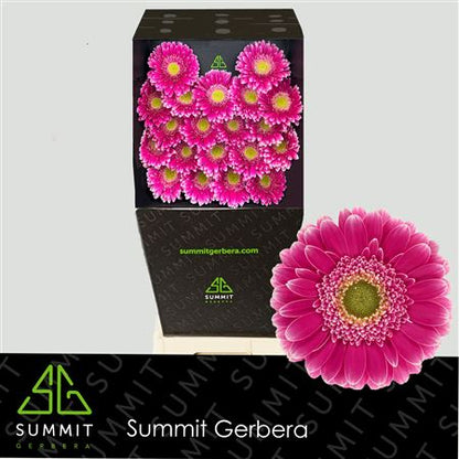 FeedSync:wholesale:54863e330ede6ba48dc420f127e227708905abcf