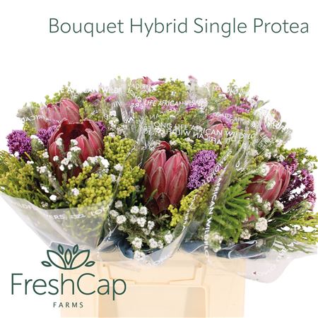 FeedSync:wholesale:781b858fab9ba5fe938419fa9c6734839f57c671