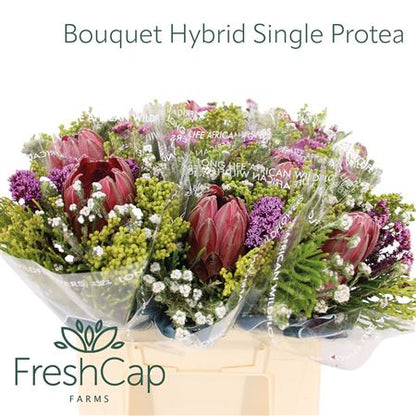 FeedSync:wholesale:781b858fab9ba5fe938419fa9c6734839f57c671