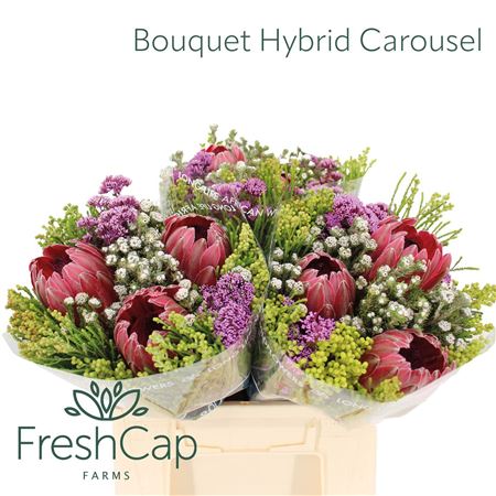 FeedSync:wholesale:79cf6bd4913950ea7f3e26837b61daf32968f1a2