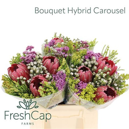 FeedSync:wholesale:79cf6bd4913950ea7f3e26837b61daf32968f1a2