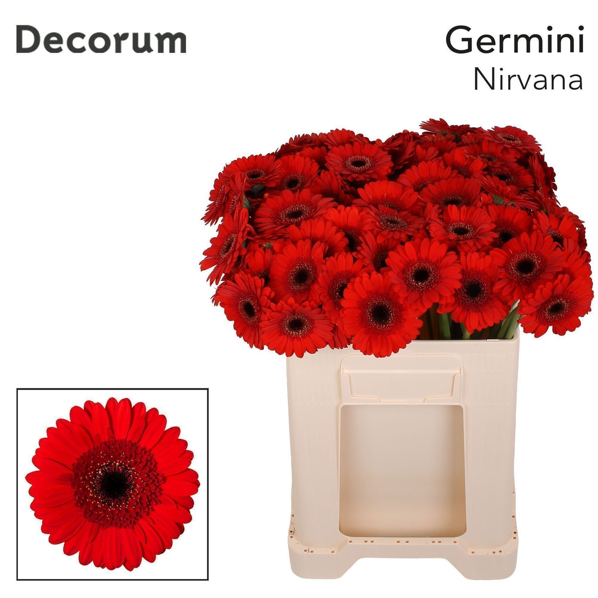 FeedSync:wholesale:5e92c3ece35d85f52810b12fa3f3bc2104b2d0d1