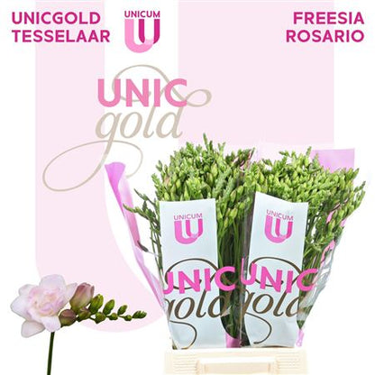 FeedSync:wholesale:a5df08ae18d31d34da999bee5c567504642a84a5