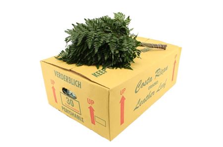 FeedSync:wholesale:9c99c5edb7310c910d7dfca5e7757b0fd3d88f0e
