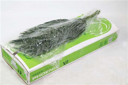 FeedSync:wholesale:4c975dbfceb4f9ca8bcaf46d3a167bb0bd08f949