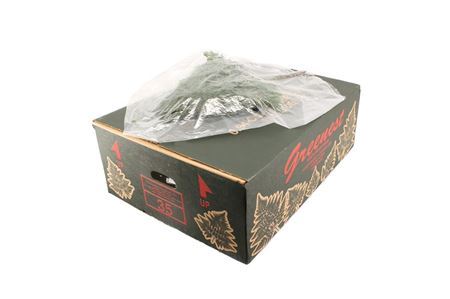 FeedSync:wholesale:350617ff99a8600f909c21fc0bba4af91931c7d5