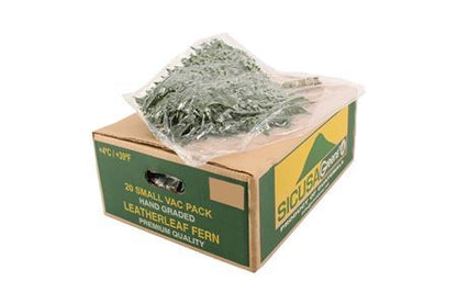 FeedSync:wholesale:43e80526bd413b07ed35228cd9def1e78be838fb