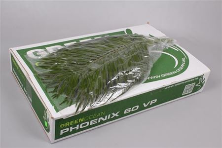 FeedSync:wholesale:183568db774e6066bdbb584e8227991855e98c52