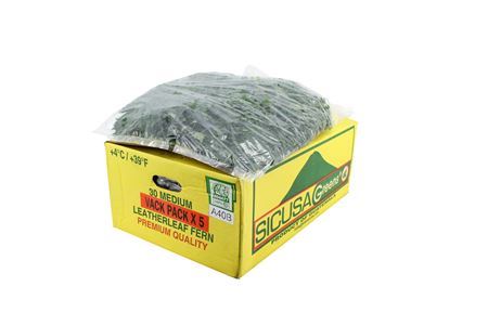 FeedSync:wholesale:38c0b1fc7748d7024e6221a9be3222a4f5f3c308