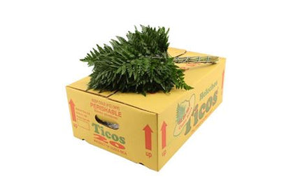 FeedSync:wholesale:8521a0df49ffee613941d50683fbc445df47cae5