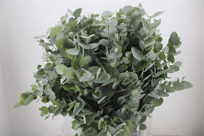 FeedSync:wholesale:4762dcc8e8f1e032f28c6aca3cda9744cdeb2faa