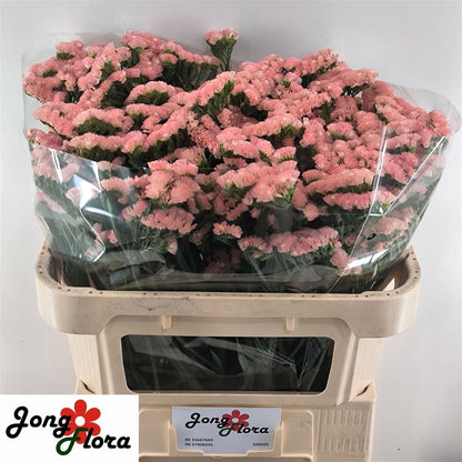 FeedSync:wholesale:8f79fee263a2f7b3ee46d8326d87995f63d1a0b7