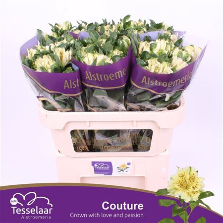 FeedSync:wholesale:1e456de599d64d360e01d7c88f06d6e5e26f33c9