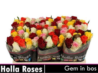 FeedSync:wholesale:eadb37dfb5cbea255c240ea30acbea807b10c2ed
