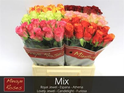 FeedSync:wholesale:24e39387895af5ef1382d89f71d31b97c678fdb0