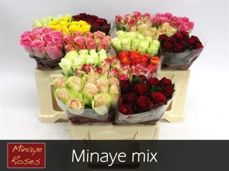 FeedSync:wholesale:4ef9f233336e266637e4bb17f75a7417ebad302d