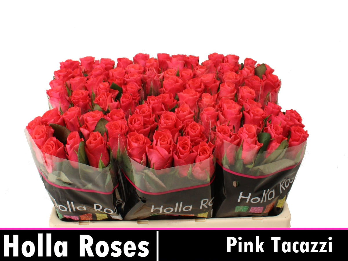 FeedSync:wholesale:c08378fafcca526be7117b0225ff46fbeac697e6