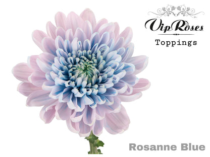 FeedSync:wholesale:095b1565d74f2138ab8447969179388d6abf2446