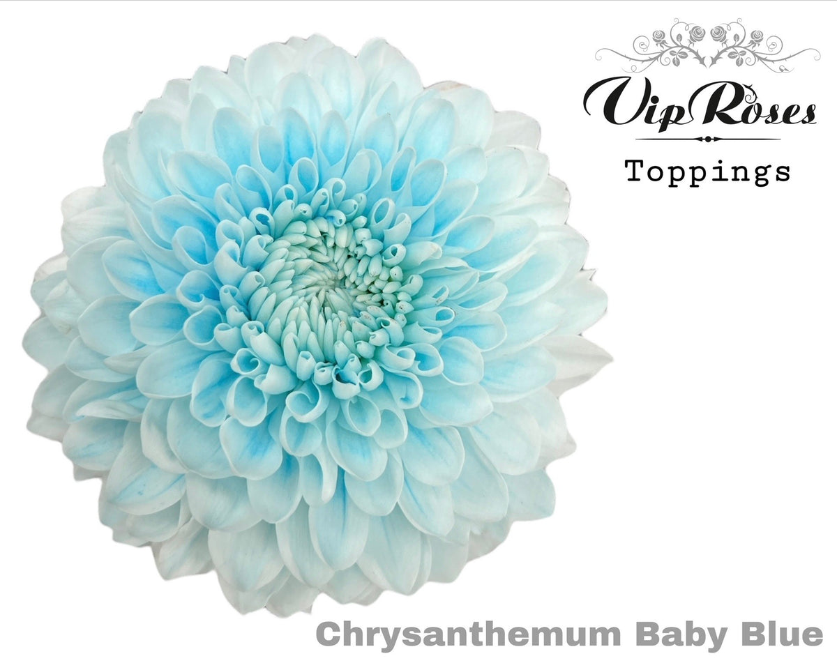 FeedSync:wholesale:b152ddfc8fb2f6da0e2c100f4d7c24c86c10fc45