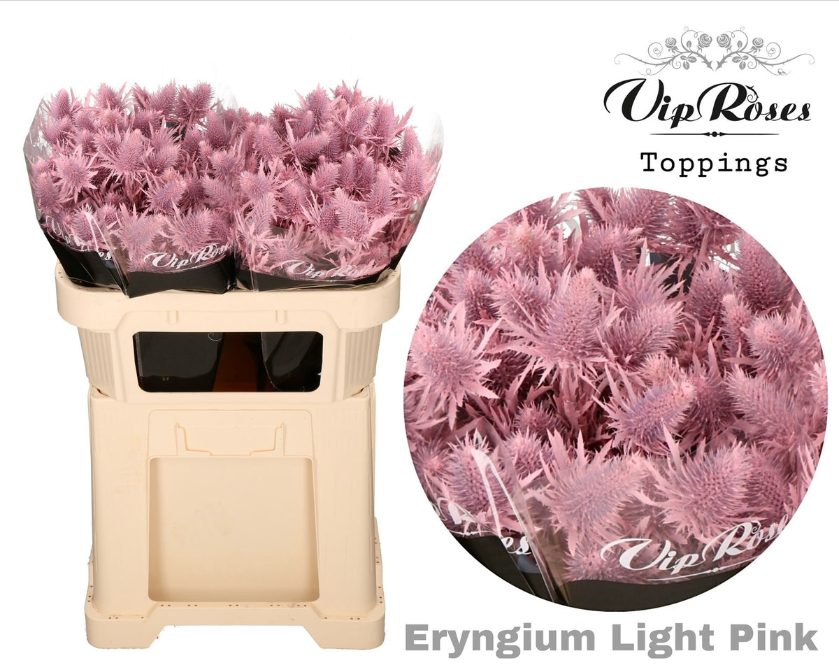 FeedSync:wholesale:57fb42558a02ca90b82fc4f344efc2631336cab7