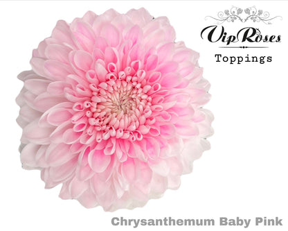 FeedSync:wholesale:02bdc287ea0a31861f21f94a6cf1513f7696a503