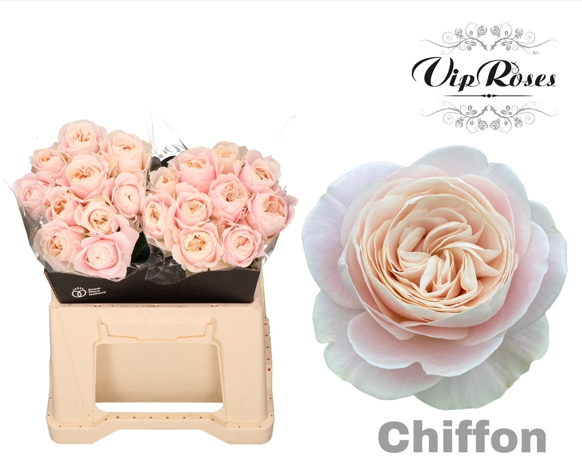 FeedSync:wholesale:2292f773b9de52cb7450cbf3a95c2c59f367e8fa